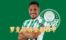 开云体育官网入口-帕尔梅拉斯伤病名单更新，关键球员状态备受关注的简单介绍