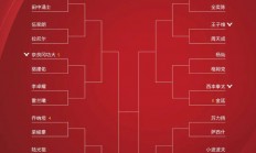 开云体育官方登录入口-丹麦国家队逆袭成功，取得晋级资格