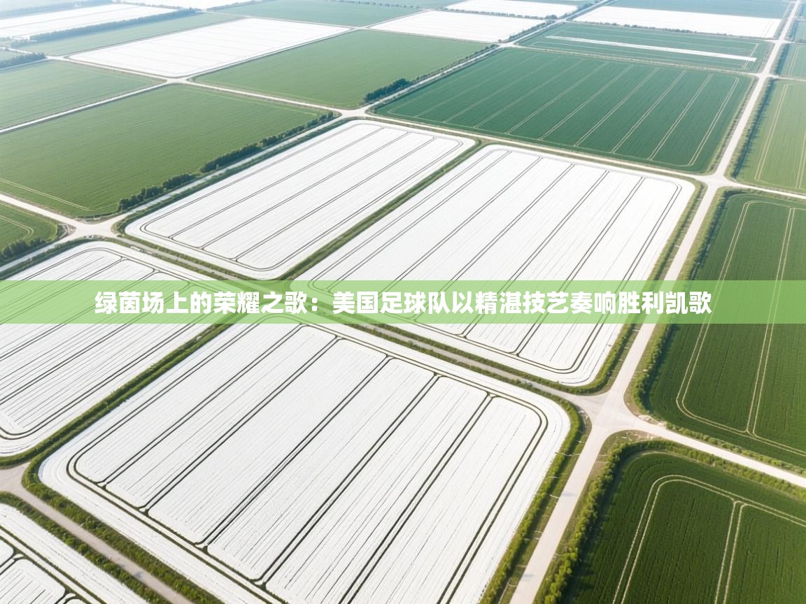 绿茵场上的荣耀之歌:美国足球队以精湛技艺奏响胜利凯歌 第2张