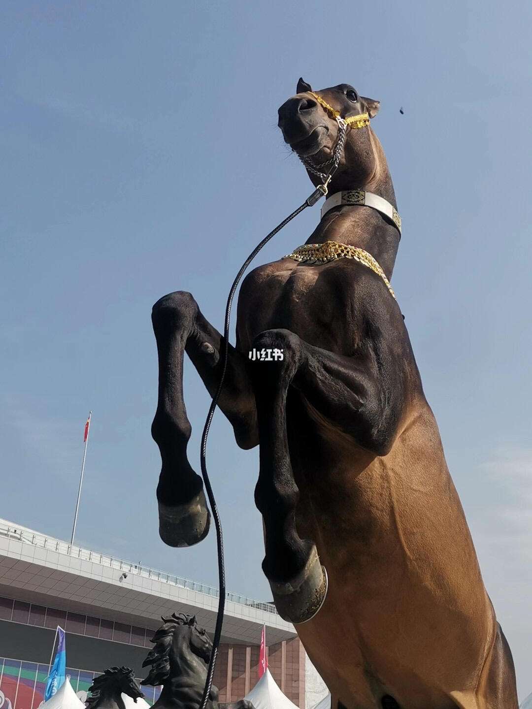 开云体育在线登录-汉玛非亚逆转美因茨中场进球引领全队起扬的简单介绍